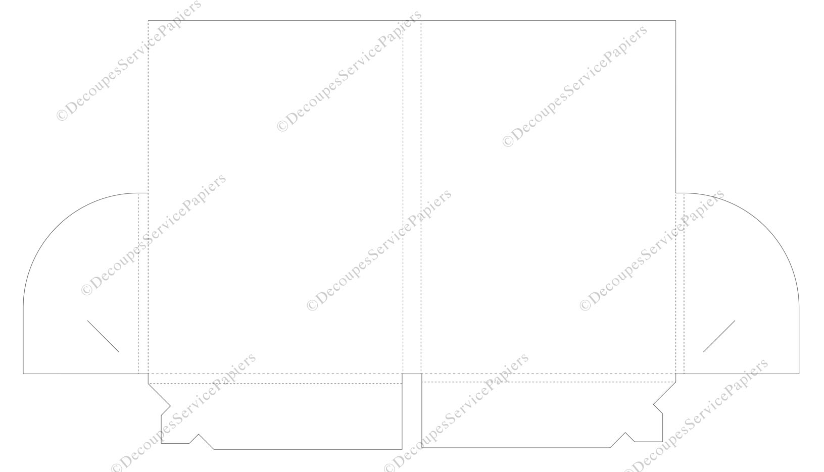 CHEMISE F 155 X 215 R11 O 472 X 261.jpg